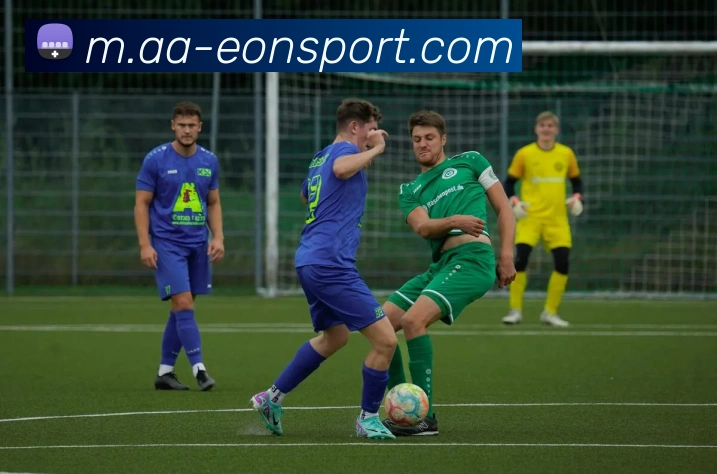 多媒体互动体验