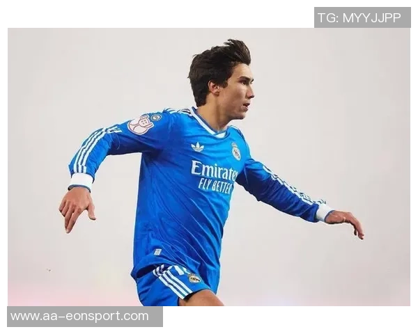 皇马若换帅埃梅里成热门人选双方已展开接触传闻引发关注